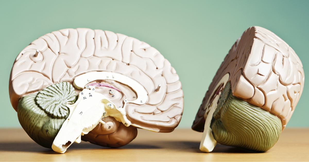 Neuropsychology’s 3 Essential Shocking Secrets of The Living Machine